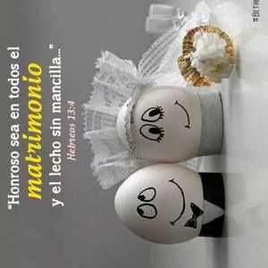 Meet your Posher, Martin